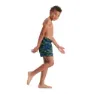 Speedo Printed 13´´ Simshorts male