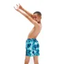 Speedo Printed 15´´ Simshorts male