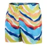 Speedo Printed Leisure 14´´ Simshorts male
