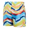 Speedo Printed Leisure 14´´ Simshorts male