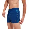 Speedo Retro 13´´ Simshorts male