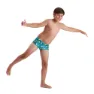 Speedo Smileys 13 Cm Club Training Allover Badbyxor Boxer male