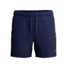 Speedo Solid Redondo Edge Volley 16´´ Simshorts male
