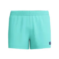 Speedo Solid Retro Volley 13 Simshorts male