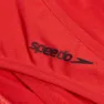 Speedo Solid Scoop Bikini Botten female