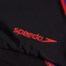 Speedo Solid V Scoop Bikini Botten female