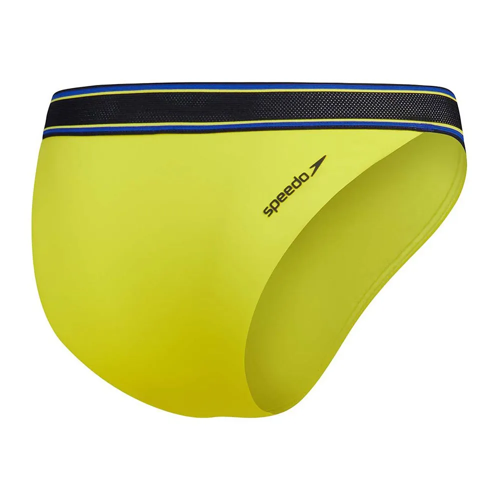 Speedo Solid V Scoop Bikini Botten female Speedo Solid V Scoop Bikini Botten female