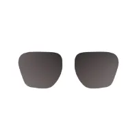 Spektrum Anjan Replacement Lens