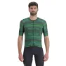 Multicolor Green