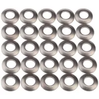 SRAM 202 Firecrest/454 Titanium Nippelbricka 25 Enheter