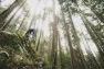 SRAM GX Eagle AXS Upgrade Kit