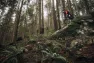 SRAM GX Eagle AXS Upgrade Kit