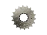 SRAM XS-1270 T-Type Eagle Kassett