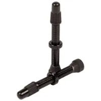 Stans Universal Presta Ventiler 10 Enheter