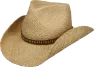 Stetson Fair Oaks Western Straw Hat