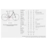 Stevens E-molveno Forma Gen1 2025 Elcykel