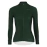 Dark Green 2