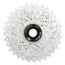 Silver / black