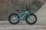 Surly Ice Cream Truck Fatbike