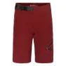SWEET Protection Hunter Shorts