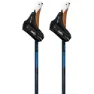 Swix Dynamic D2 Stavar