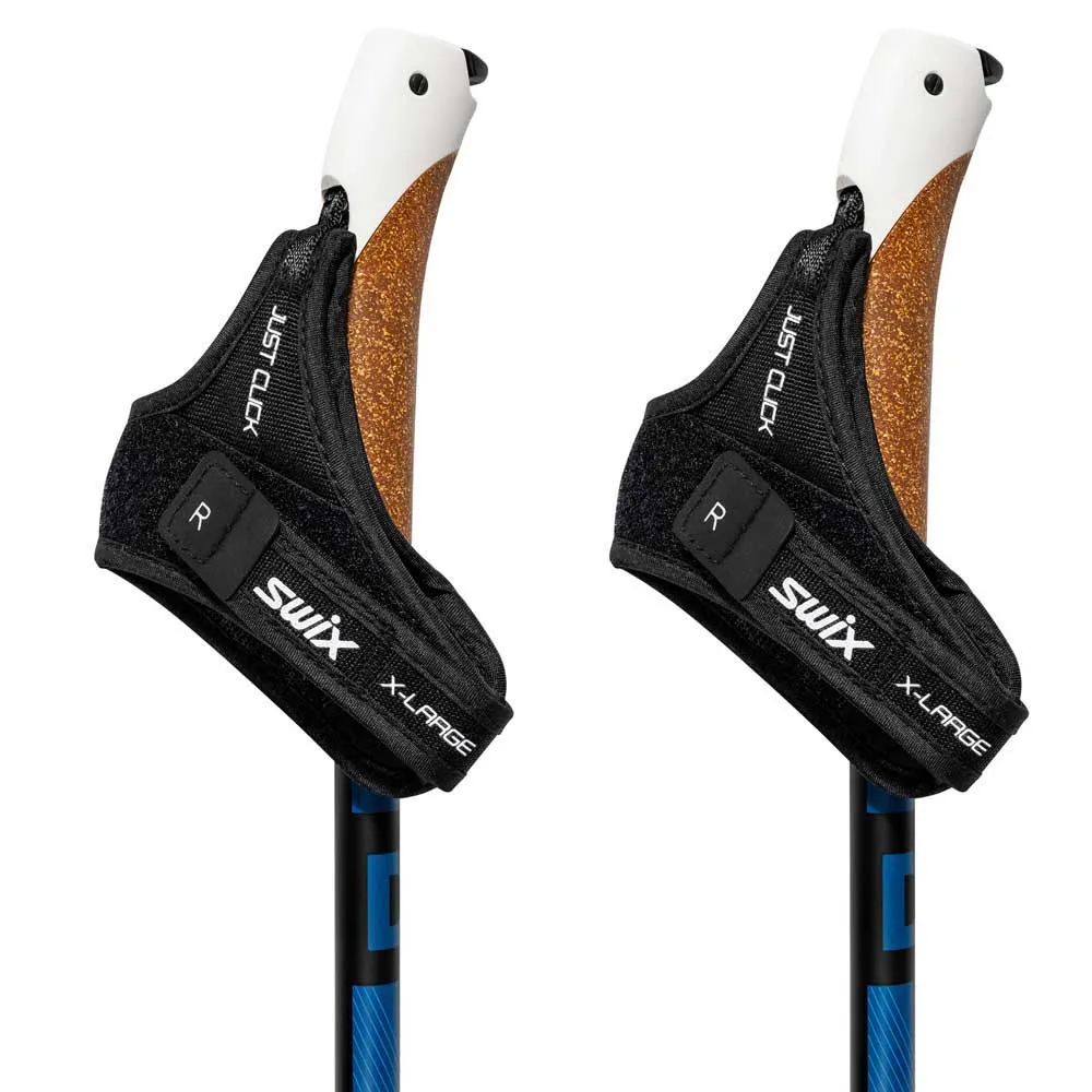 Swix Dynamic D2 Stavar Swix Dynamic D2 Stavar