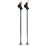 Swix Dynamic D2 Stavar