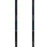 Swix Dynamic D2 Stavar