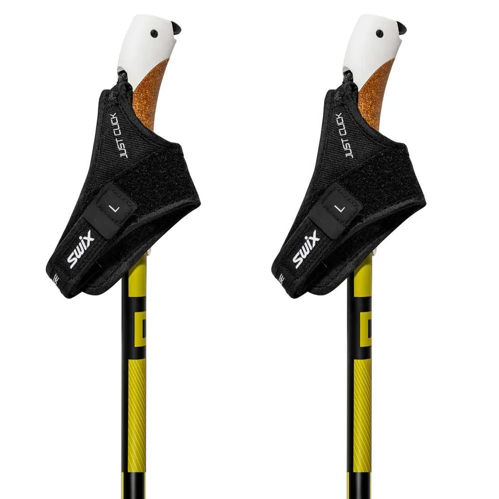 Swix Dynamic D3 Stavar Swix Dynamic D3 Stavar