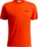 Magma