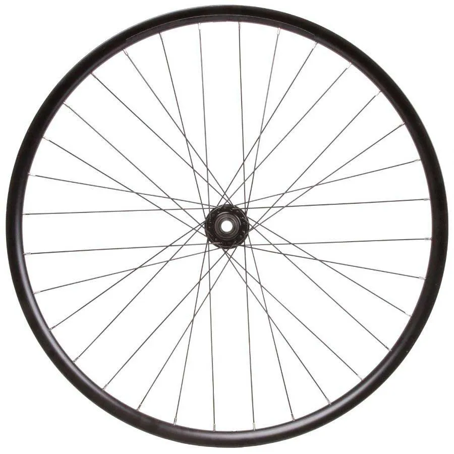 SXT 388595 Boost Disc 6b 29´´ Mtb Framhjul, Black, 15 x 110mm