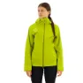 Citrus green 2