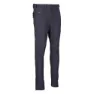 Whales grey 1