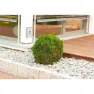 Tfa Dostmann 35.1135.02 Casa Väderstation, One size, EU Plug 220V
