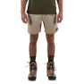 The Mountain Studio Field Shorts