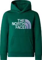 The North Face Boys' Drew Peak Hoodie The North Face Boys' Drew Peak Hoodie
