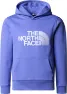 The North Face Boys' Drew Peak Hoodie