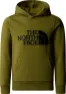 The North Face Boys' Drew Peak Hoodie