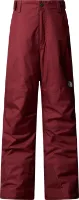 The North Face Boys' Freedom Insulated Pant