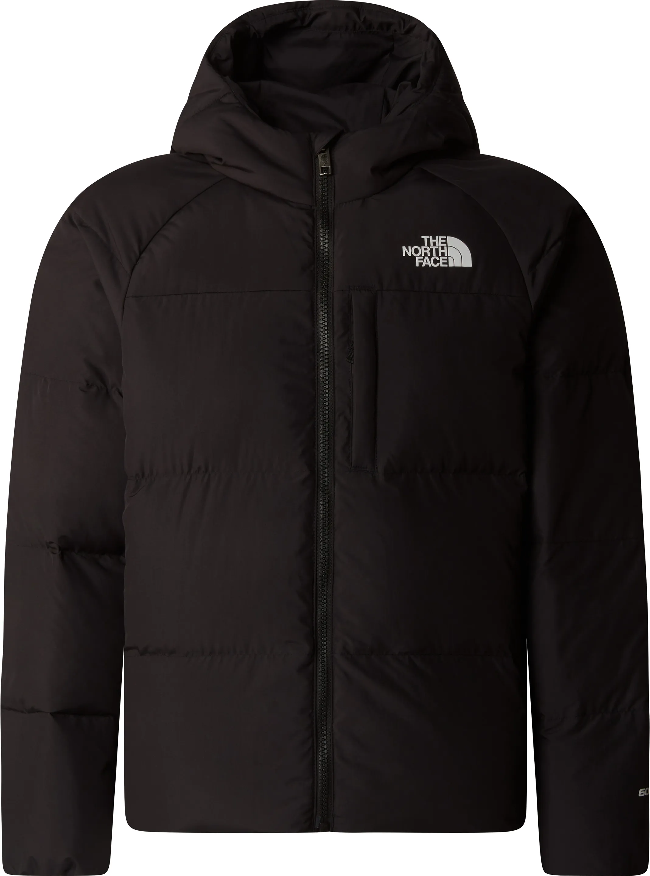 The North Face Boys' North Down Hooded Jacket
