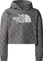 The North Face Girls' Light Drew Peak Printed Hoodie The North Face Girls' Light Drew Peak Printed Hoodie