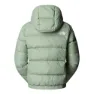 The North Face Hyalite Dunjacka