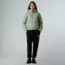 The North Face Hyalite Dunjacka