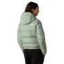 The North Face Hyalite Dunjacka