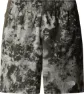 The North Face Men's 24/7 Printed Shorts, Clay Grey Micro Halfdom
