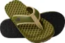 Forest Olive/Forest Oli
