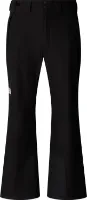 The North Face Men's Descendit Pants The North Face Men's Descendit Pants