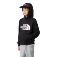 The North Face Men's Drew Peak Hoodie