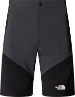 The North Face Men's Felik Slim Tapered Shorts
