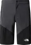 The North Face Men's Felik Slim Tapered Shorts